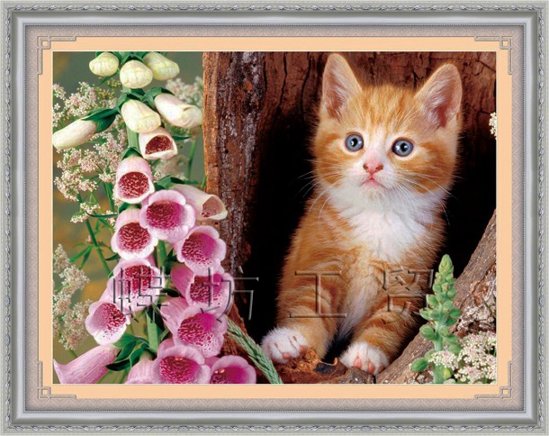 Tranhdaquyhn mau tranh meo